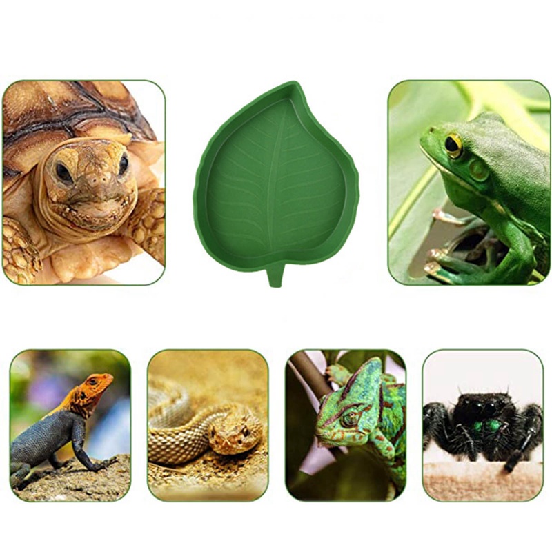 Jjiuad Đĩa Đựng Thức Ăn Nước Uống Bằng Nhựa Cỡ Nhỏ Phong Cách Mới Cho Thú Cưng Bò Sát / Rùa / Bò Sát