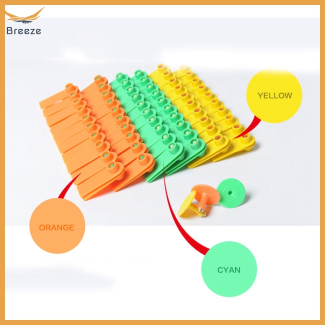 Set 100 Phụ Kiện Trang Trí Móng Tay Bằng TPU Không In Chữ Tiện Dụng