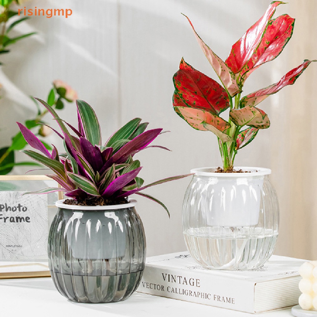 1 Chậu Nhựa Trồng Cây Tự Tưới Hình Bí Ngô Mini