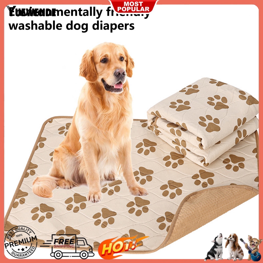 Thảm Lót Huấn Luyện Thú Cưng Lâu Trôi Tiện Dụng