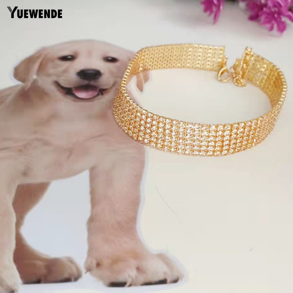 Vòng Cổ Thời Trang Bằng Đồng Không Phai Màu Cho Thú Cưng