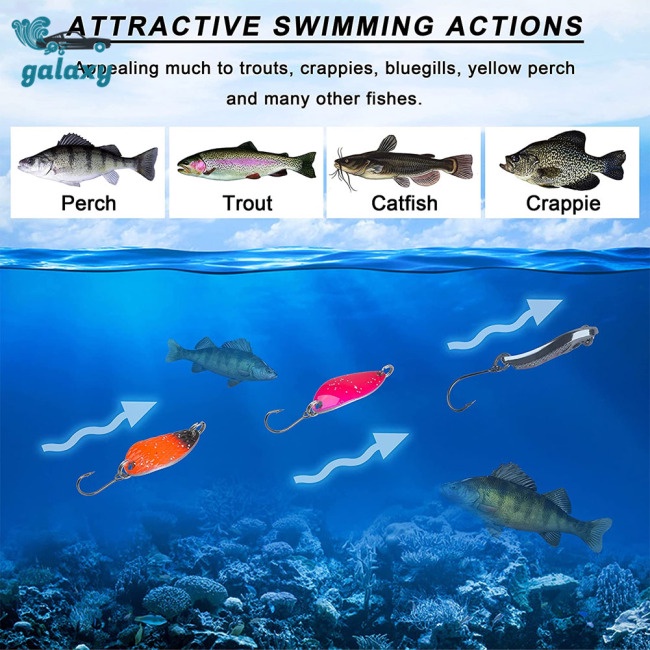 Galaxy Set 12 Mồi Giả Câu Cá Nhiều Màu Sắc Kèm Hộp Đựng