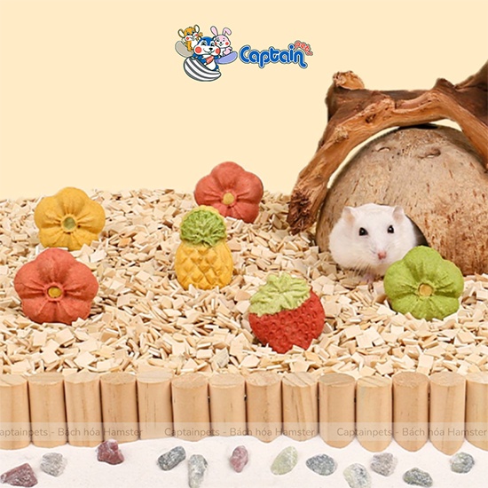 Bánh quy sữa dê làm sạch răng cho Hamster và thú cưng