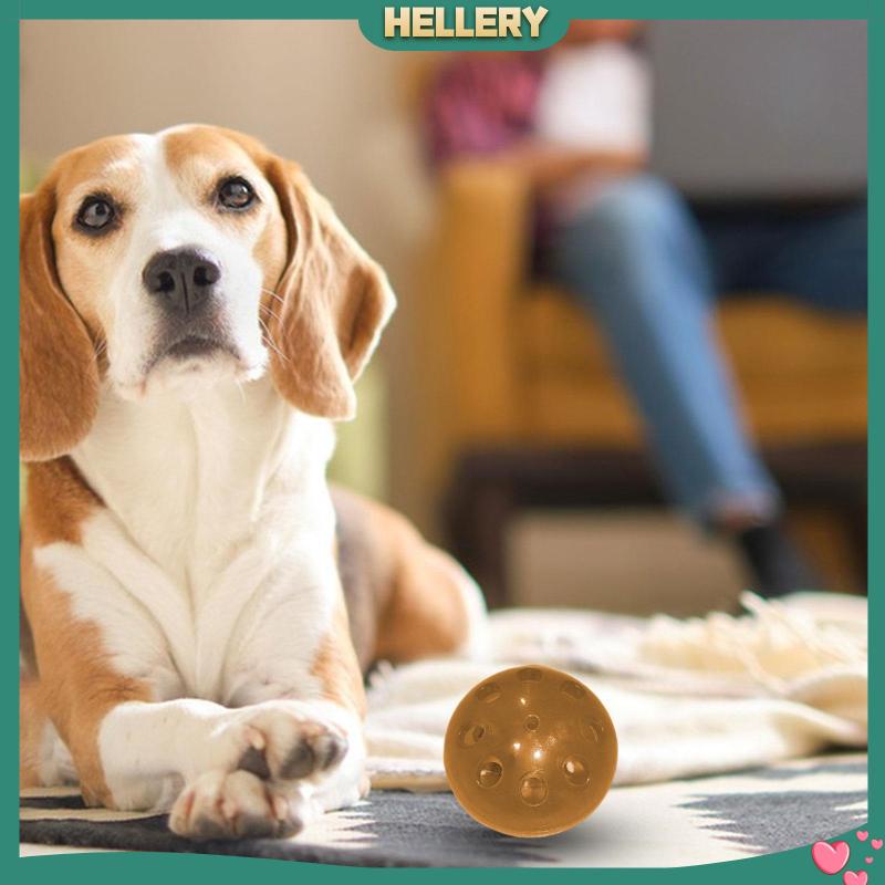 Đồ Chơi Gặm Tương Tác Di Động Chống Cắn Cho Thú Cưng