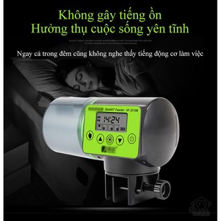 MÁY CHO CÁ ĂN TỰ ĐỘNG - Euro Quality