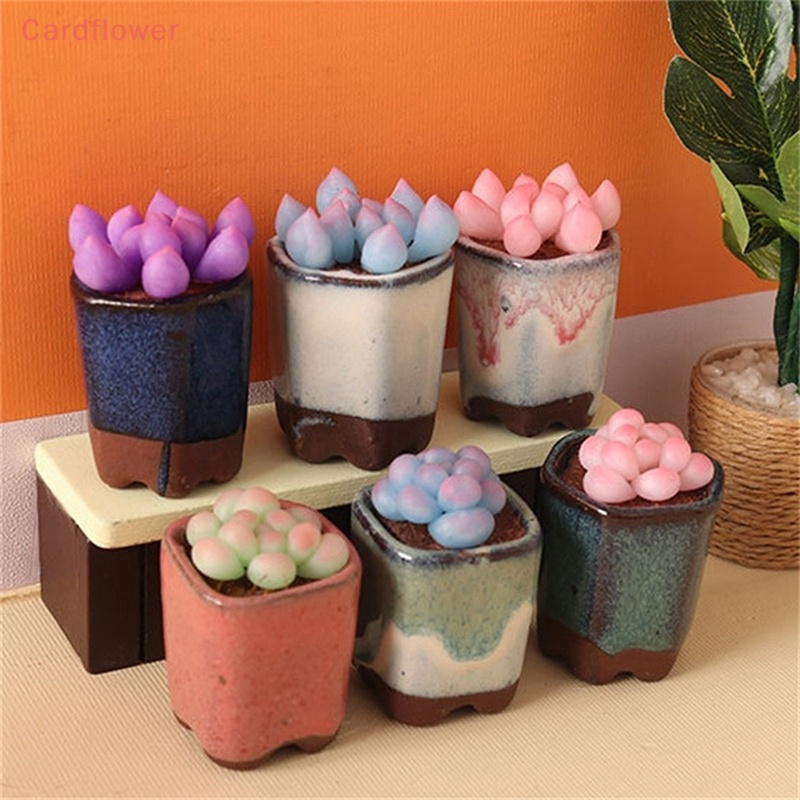 Mô Hình Chậu Cây Mọng Nước Trang Trí Nhà Búp Bê 1: 6 Mới