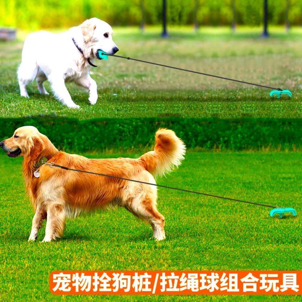 1 Đồ Chơi Nhai Gặm Dạng Quả Bóng Hút Chân Không Đa Năng Cho Thú Cưng