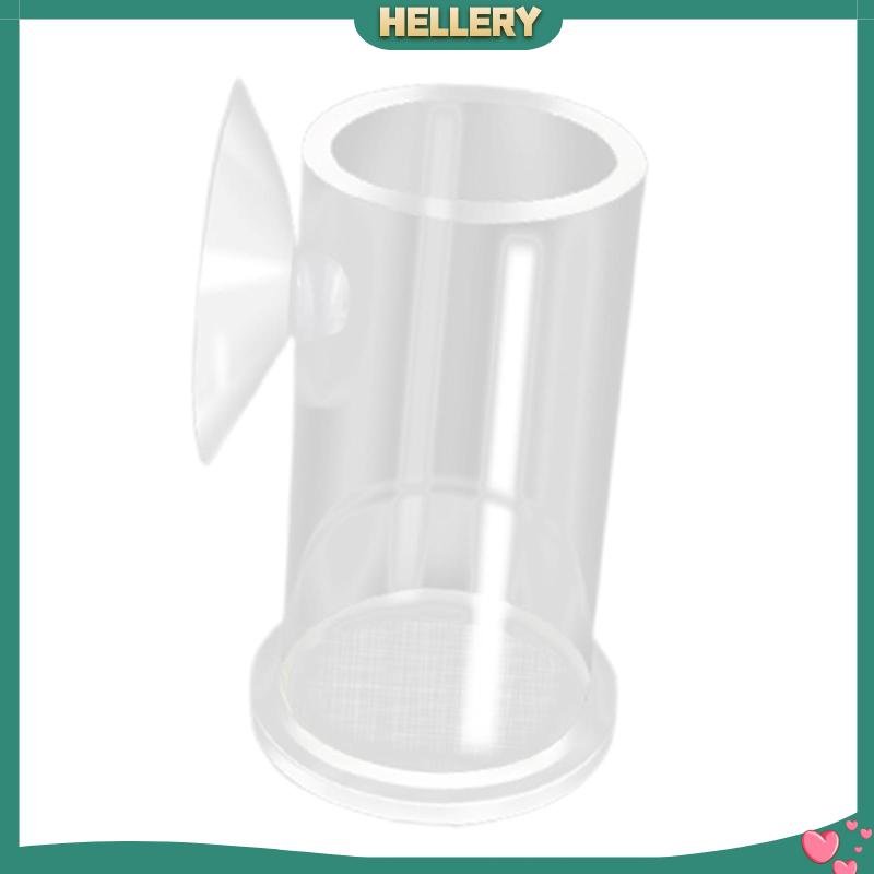 Ống Cho Cá Ăn Bằng Acrylic Trong Suốt Tiện Dụng