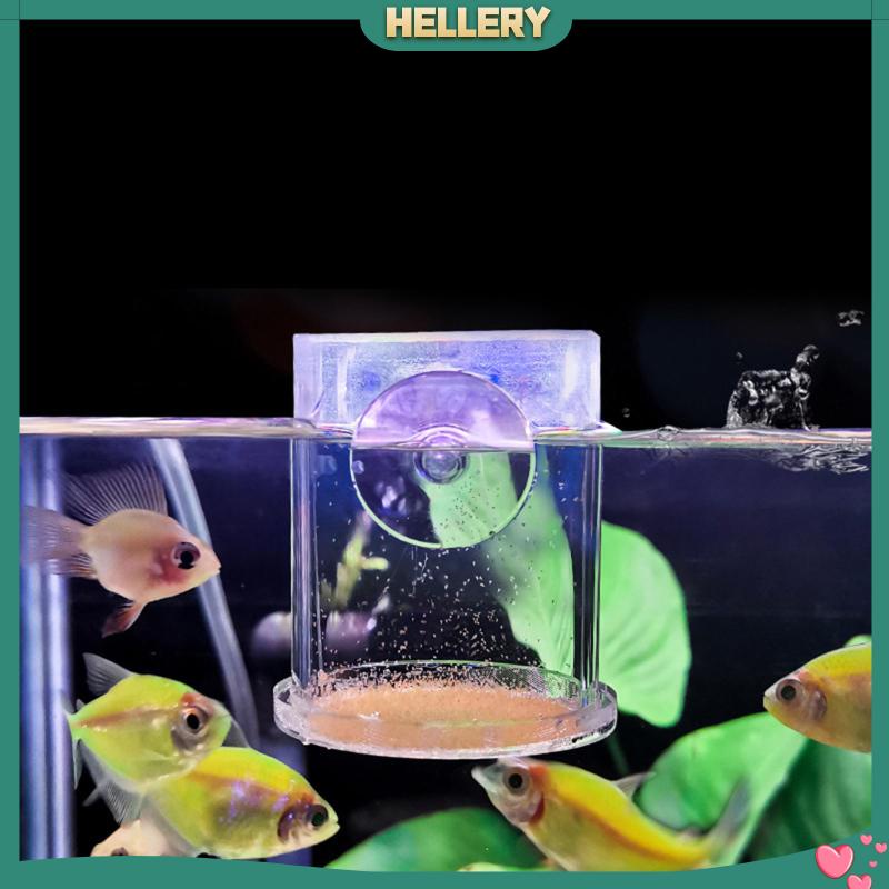 Ống Cho Cá Ăn Bằng Acrylic Trong Suốt Tiện Dụng