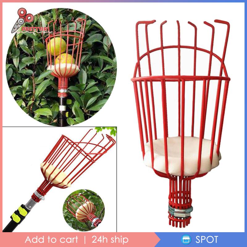 [Prettyia1] Rổ Đựng Trái Cây Để Làm Vườn