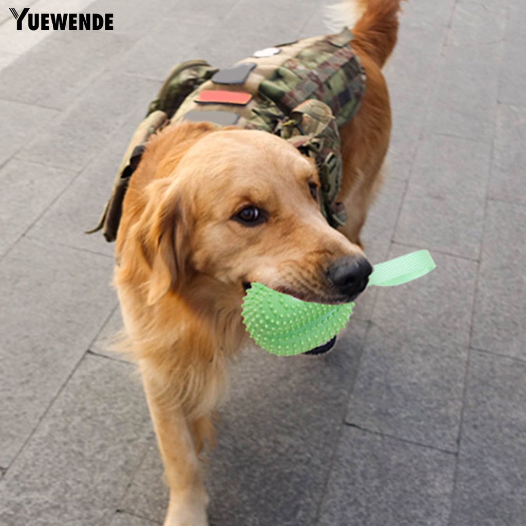 Đồ Chơi Nhai Gặm Hình Trái Cây Trọng Lượng Nhẹ Có Âm Thanh Vui Nhộn Cho Thú Cưng