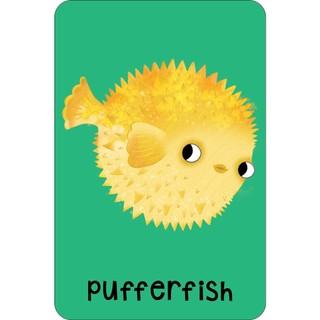 Sách Sea Snap! (Cards)