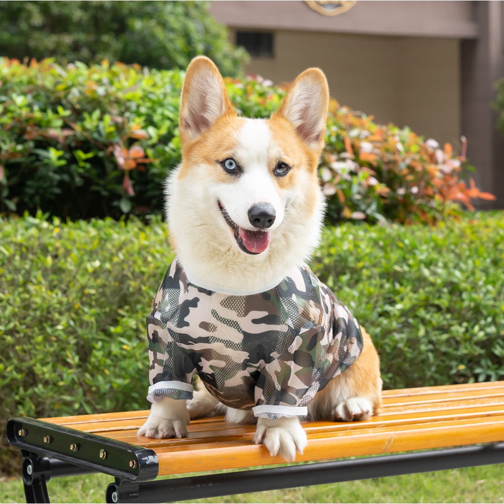 Áo Thun Mùa Hè Thời Trang Cho Thú Cưng Size XL-9XL