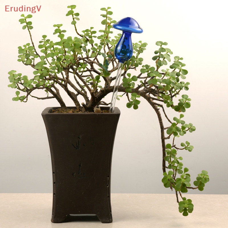 [ErudingV] Bộ Dụng Cụ Tưới Cây Tự Động Hình Nấm Bằng Thủy Tinh Nhiều Màu Sáng Tạo Cho Sân Vườn [Mới]