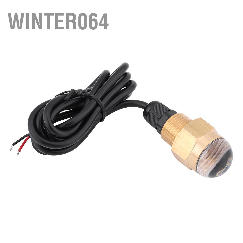 Winter064 Mềm Thuyền 12V Đồng Thủy Tinh LED Xanh Dương Dưới Nước Ánh Sáng Đèn Cống Plug1/2 &quot;NPT Du Phụ Kiện