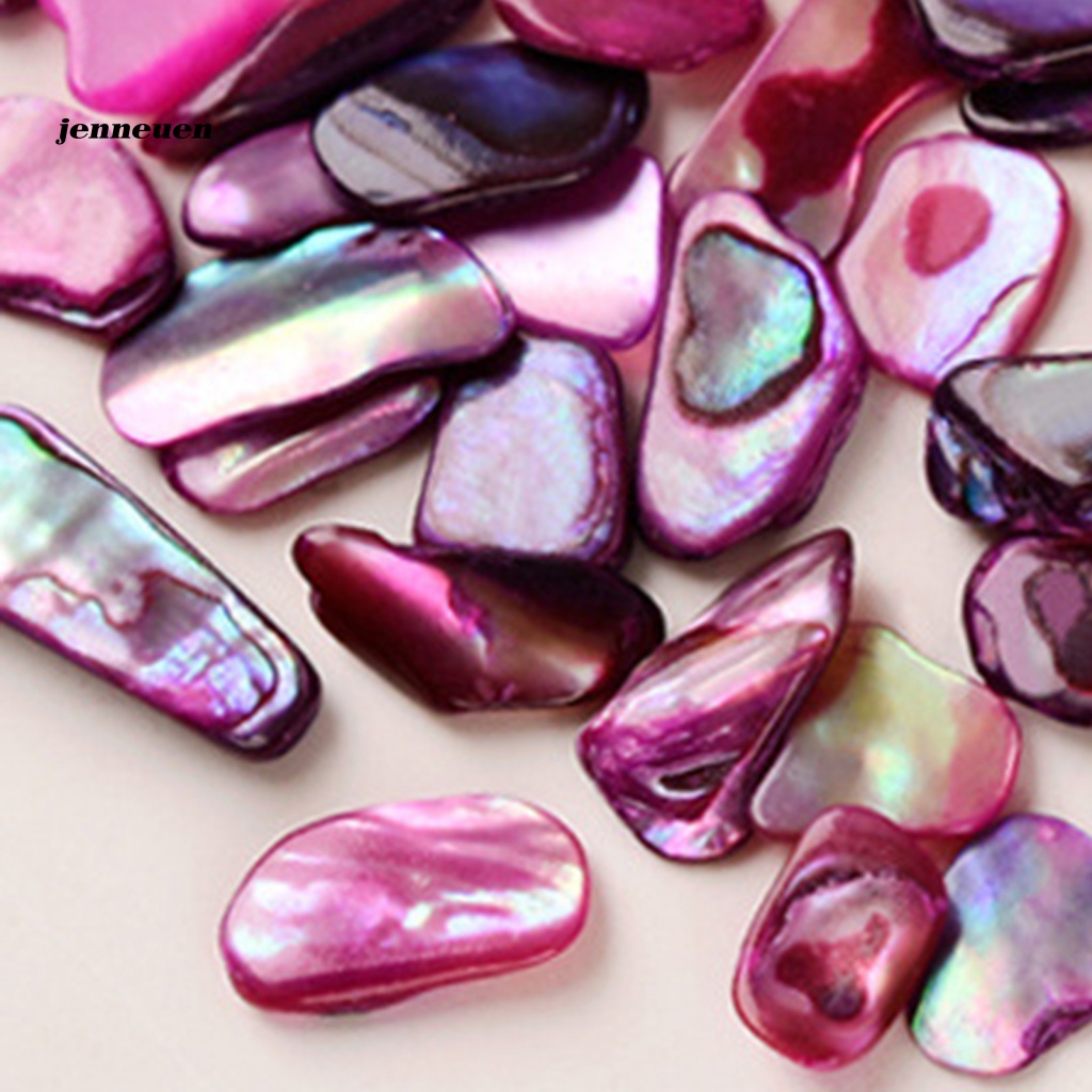 Phụ Kiện Vỏ Sò 3D Trang Trí Móng Nghệ Thuật Cho Nữ