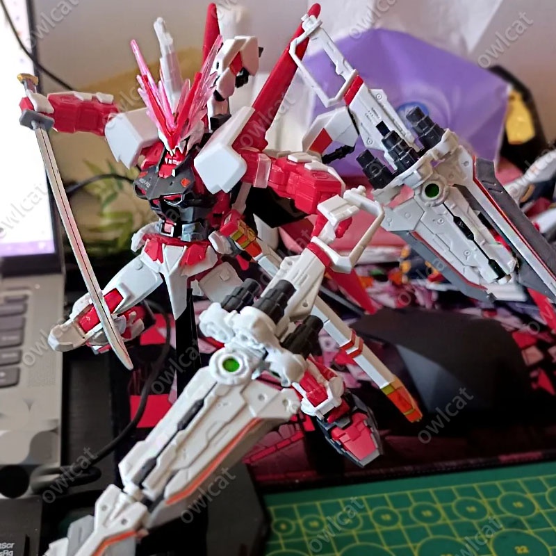 Mô Hình Gunpla HG Gundam Astray Red Frame Red Dragon 1/144 Gundam SEED Destiny Astray R - High Grade MBF-P02 MS LOWE GUELE Packed in Box Model Comic Anime Manga