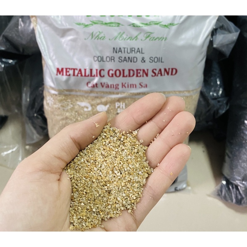 Cát vàng Kim Sa - N.M.F .