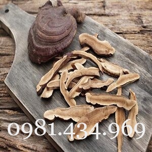 Nấm Linh Chi Rừng Nguyên Cây Khô 01KG loại 01