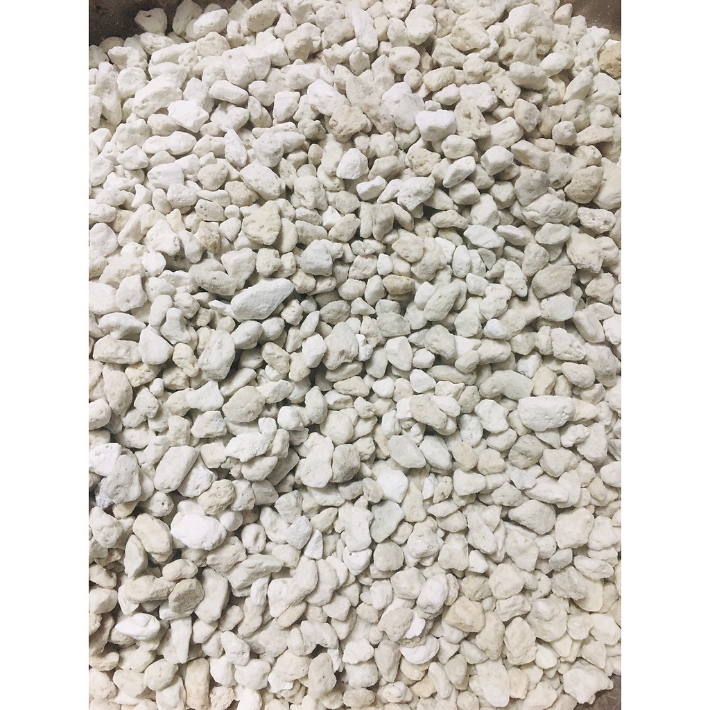 1KG đá lông vũ ( nham thạch trắng) dành cho hồ cá cảnh