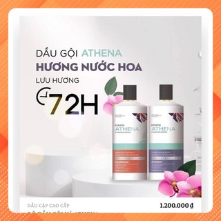 Dầu gội phục hồi kiềm dầu sạch gàu, hương thơm nước hoa cặp gội xả ATHENA