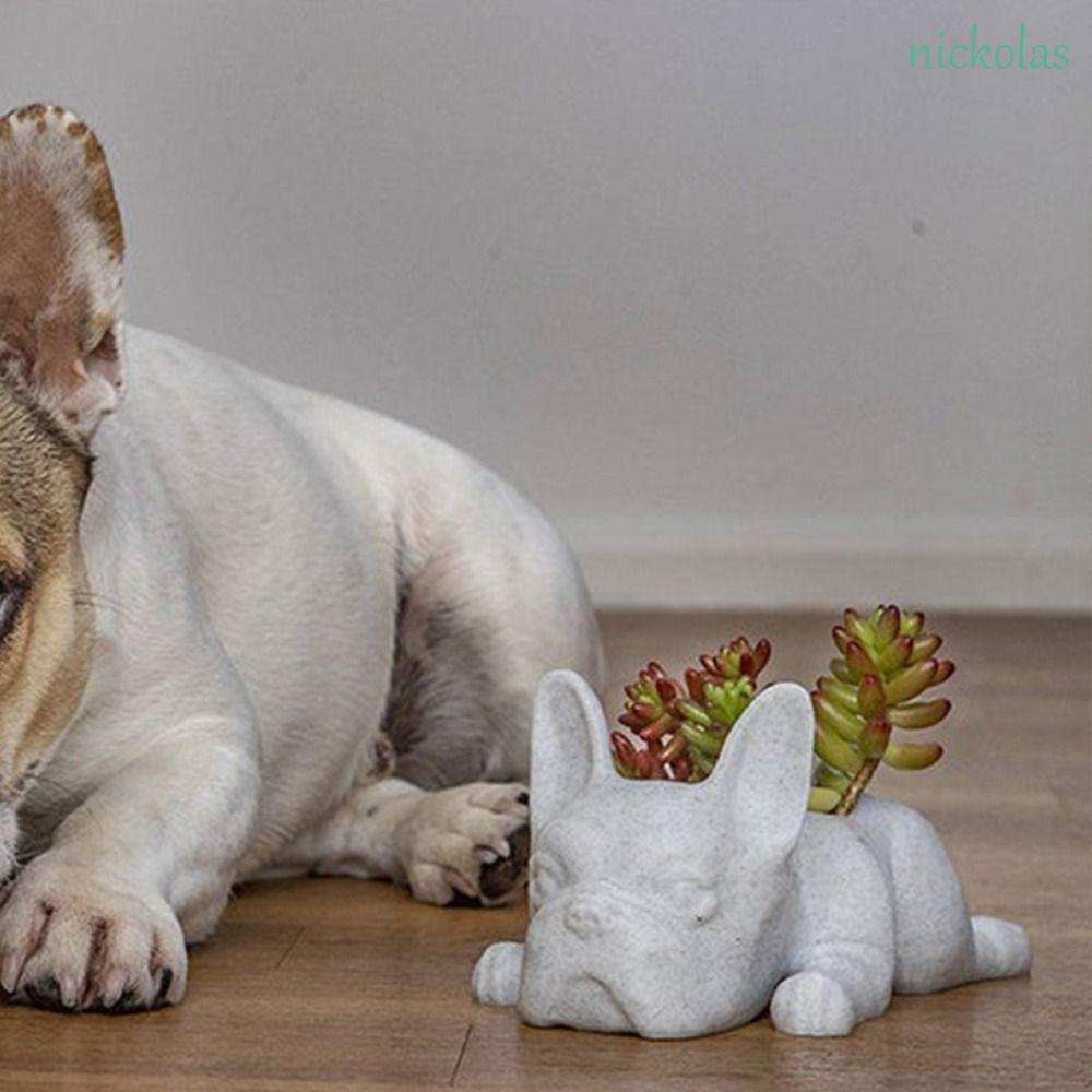 Chậu Cây Mini Bằng Nhựa Resin Hình Chú Chó Bull Dễ Thương Để Bàn Trang Trí Nhà Cửa / Văn Phòng