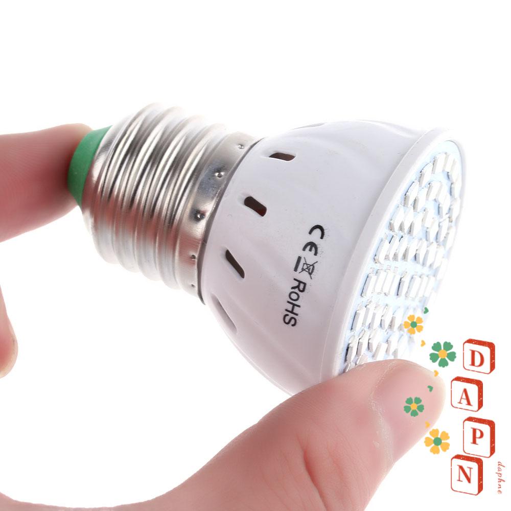 Đèn LED 60 Bóng DAPHS E27 Dùng Cho Khu Vườn