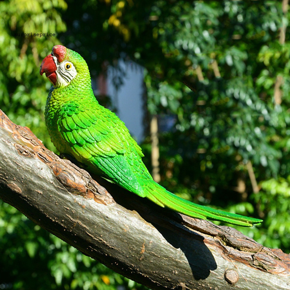 Mô Hình Chim Vẹt Bằng Nhựa Resin Treo Tường Trang Trí Sân Vườn