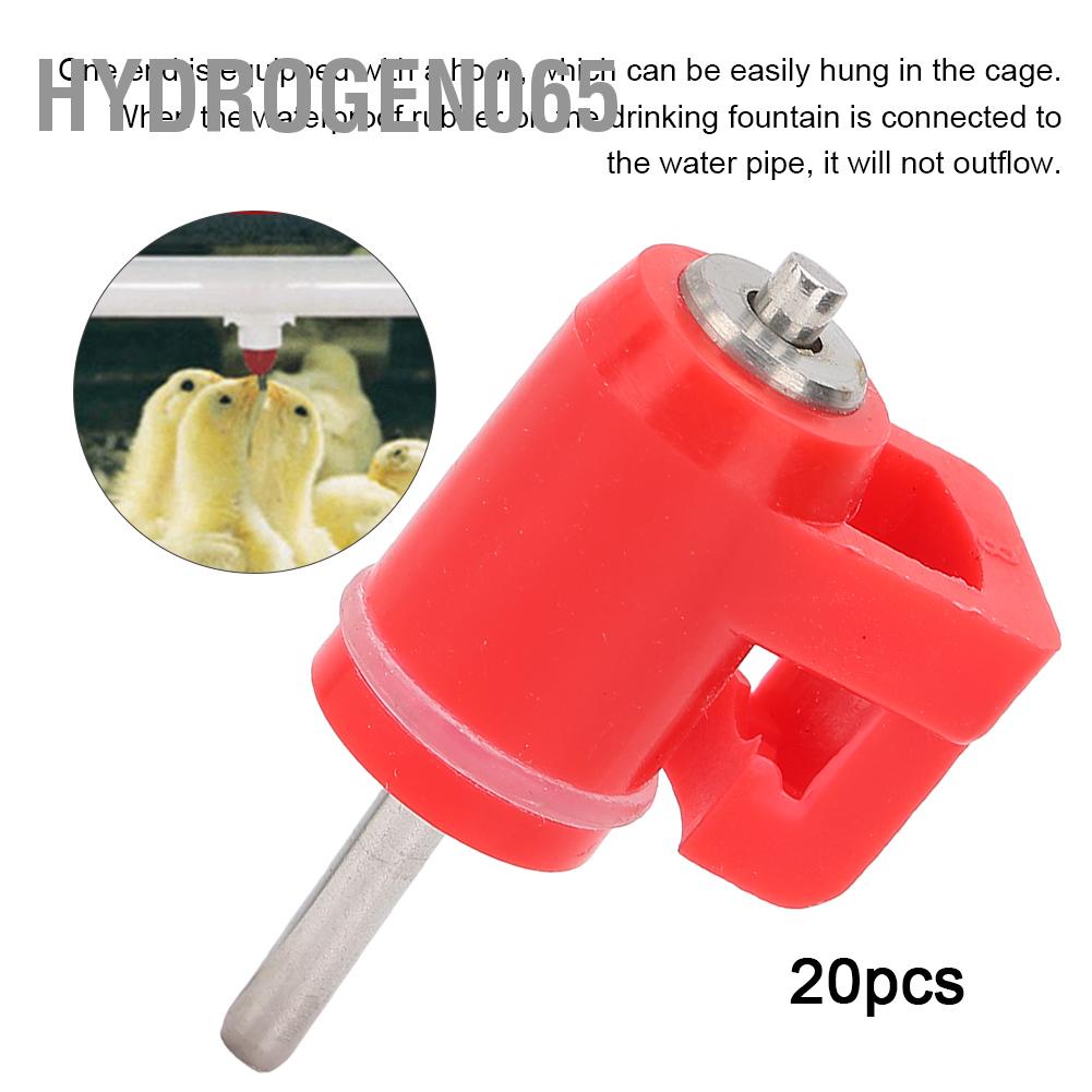 Hydrogen065 20 Con Gà Nước Núm Vú Uống Ăn Tự Động Màu Đỏ Nhựa Gia Cầm Trang Trại Vật Tiếp Liệu