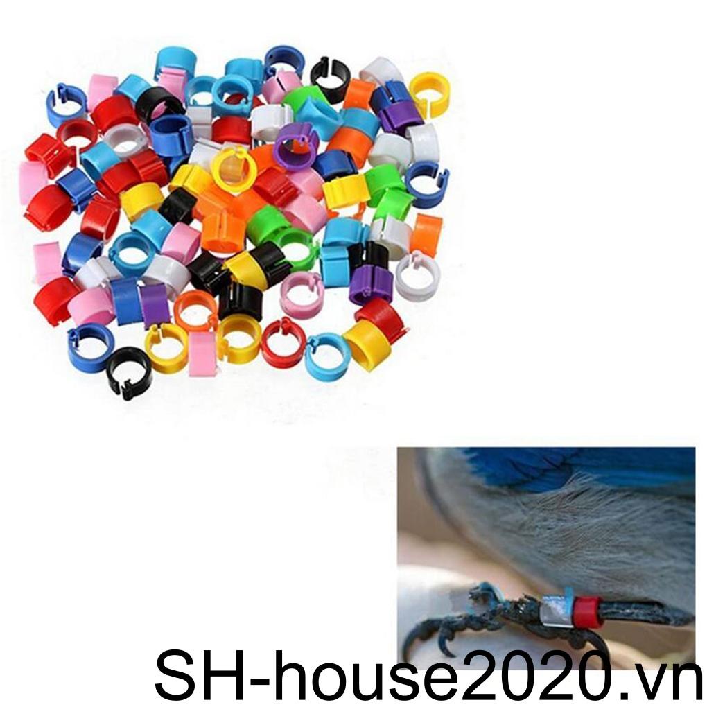 Set 100 Chân Chim Bằng Nhựa Chuyên Dụng