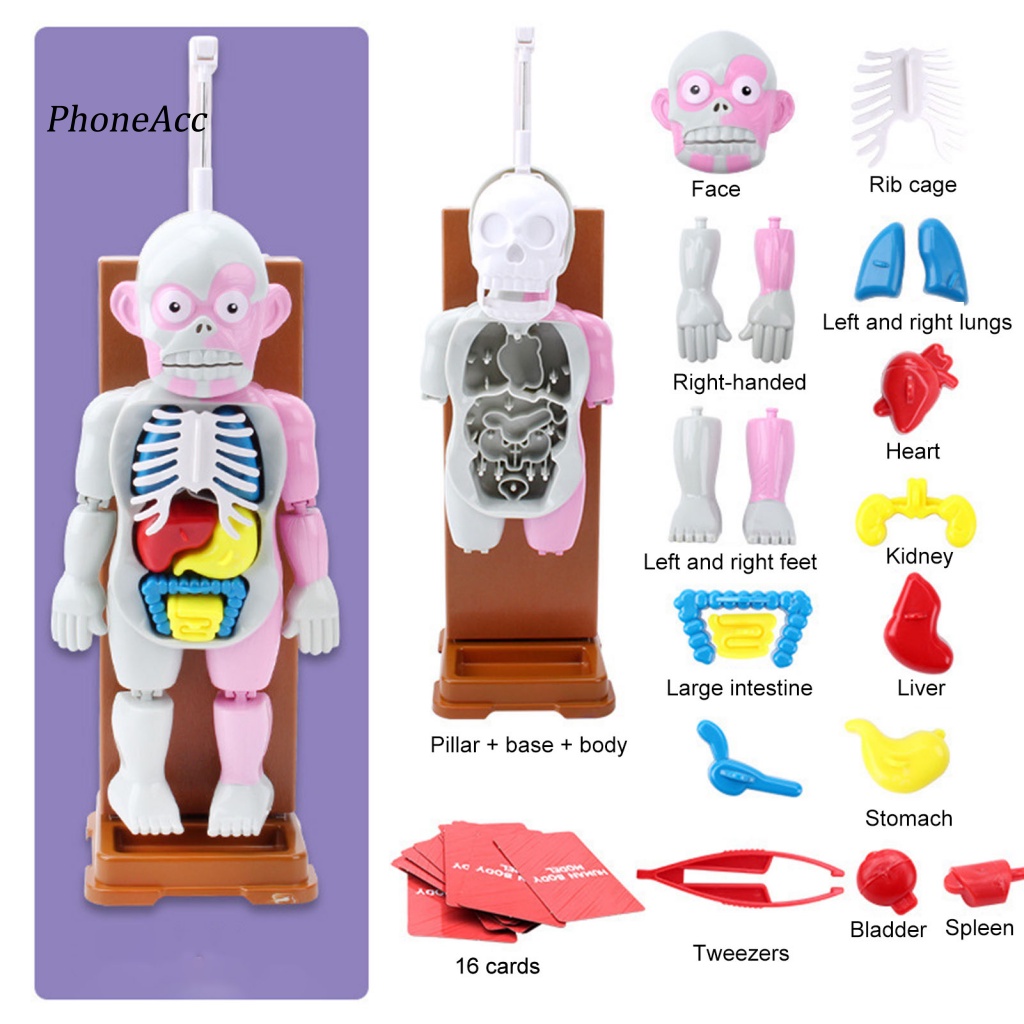 Set 37 Mô Hình Cơ Thể Người Kinh Dị Trang Trí Halloween