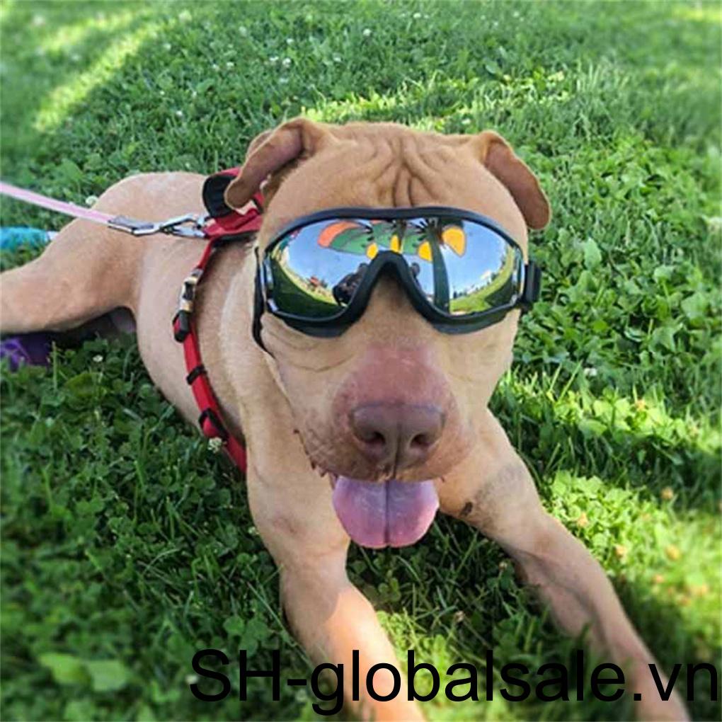 Kính Bảo Vệ Mắt Chống Gió Có Thể Điều Chỉnh Dùng Để Chụp Ảnh Trang Trí