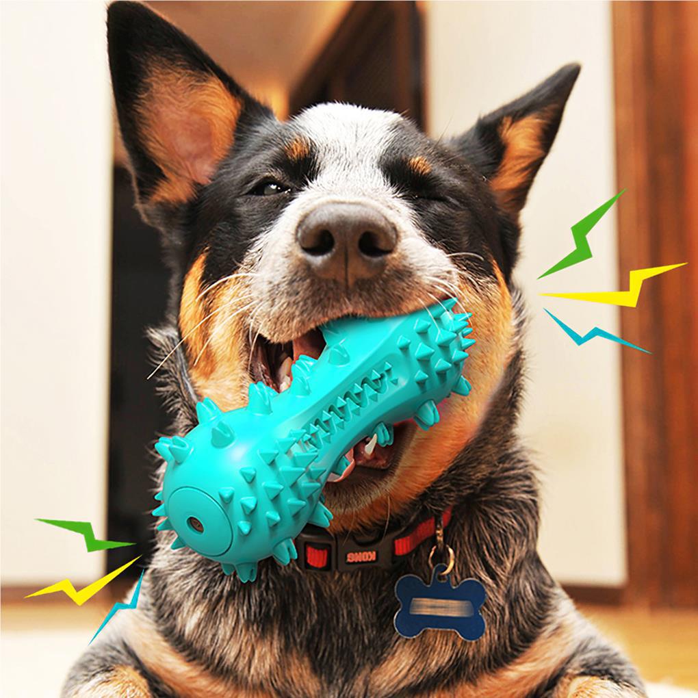 Bàn Chải Đánh Răng TPR Không Độc Hại Vệ Sinh Răng Cho Thú Cưng Cỡ Nhỏ / Vừa / Lớn