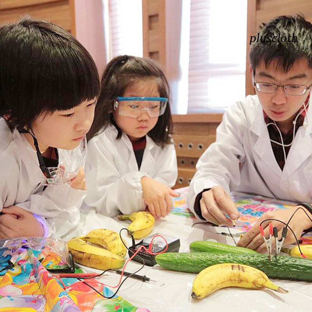 Bộ Đồ Chơi Thí Nghiệm Khoai Tây / Sinh Học Đèn Năng Lượng Mặt Trời DIY