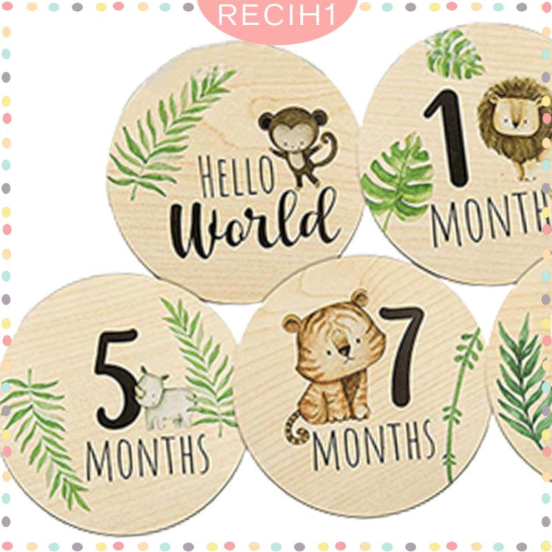 Set 7 Thẻ Gỗ Tròn Đánh Dấu Cột Mốc Phát Triển Theo Tháng Làm Phụ Kiện Chụp Ảnh Cho Bé Sơ Sinh