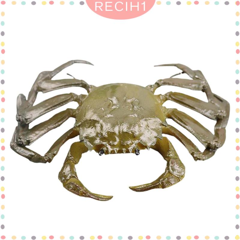 Mô Hình Sinh Vật Biển Đồ Chơi Cho Bé