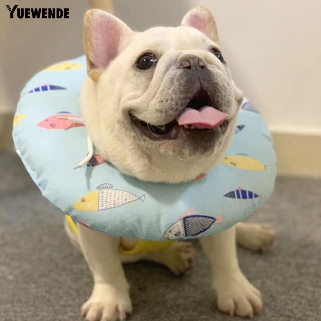 Yq.e Vòng Đeo Cổ Chống Cắn Chống Gàu Siêu Nhẹ Bảo Vệ Vết Thương Cho Thú Cưng Ngoài Trời