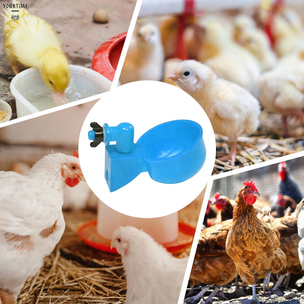 Set 6 Bát Uống Nước Tự Động Cho Gà Vịt