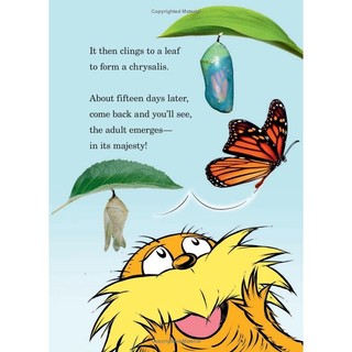 Hug A Bug: How YOU Can Help Protect Insects (Dr. Seuss's The Lorax Books)