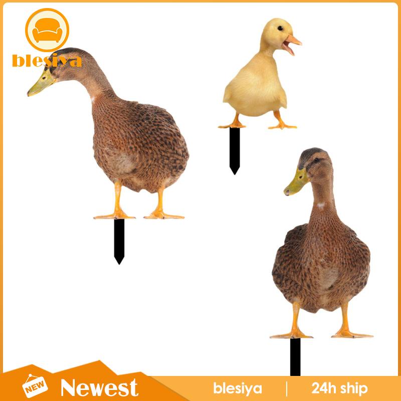 [Blesiya] Bộ 3 Bức Tượng Vịt Trang Trí Lối Đi Sân Vườn