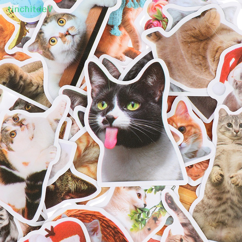 Bộ 50 Miếng Dán Hình Mèo Hoạt Hình DIY Trang Trí Sổ Tay / Hành Lý / Xe Hơi