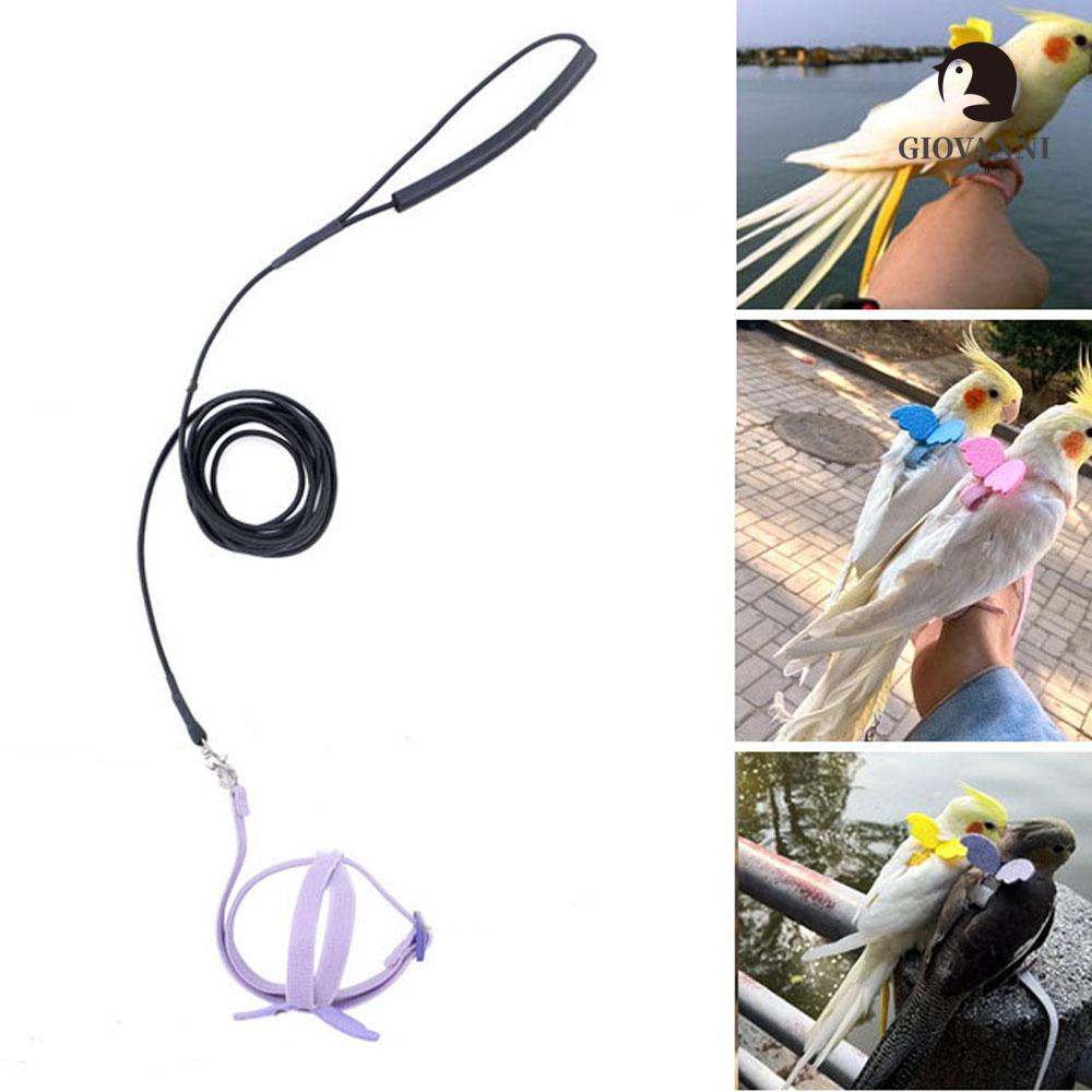 Dây Xích Huấn Luyện Chim Chống Cắn Có Thể Điều Chỉnh