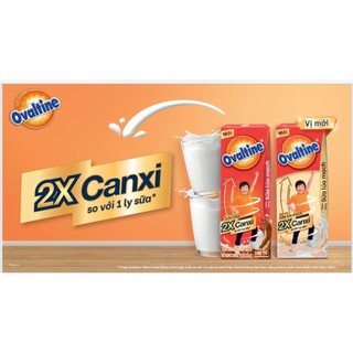 Sữa OVALTINE socola lúa mạch canxi cao