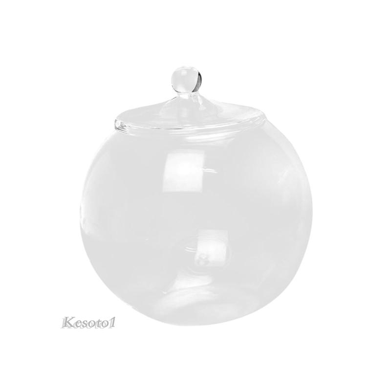 Thủy tinh terrarium centerpiece hộp đựng cây thủy tinh tự làm cho phòng ngủ nuts