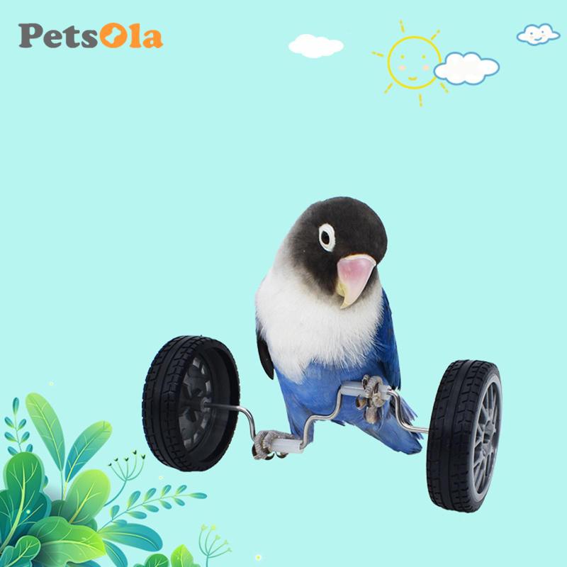 Petsola đồ chơi thăng bằng con vẹt trượt băng nhỏ đồ chơi trên bàn đồ chơi giáo dục trí tuệ đồ chơi con vẹt cho lovebird cockatiels