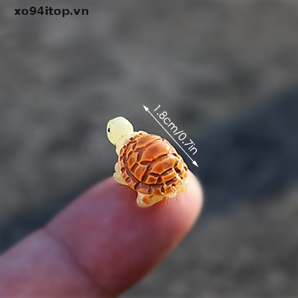 Set 5 Tượng Rùa Biển Giả Dùng Để Trang Trí