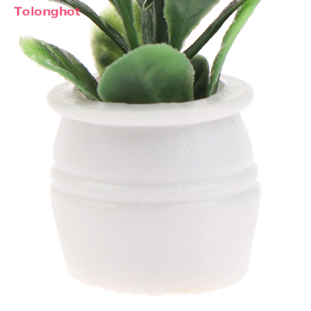 Bộ 5 Chậu Cây Mini Tỉ Lệ 1: 12 Dùng Trang Trí Nhà Búp Bê