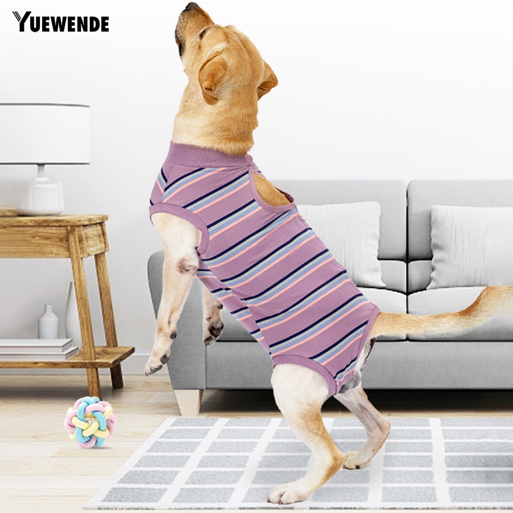 Áo Tiểu Giả Hai Lớp Thân Thiện Với Da Cho Thú Cưng YE.B