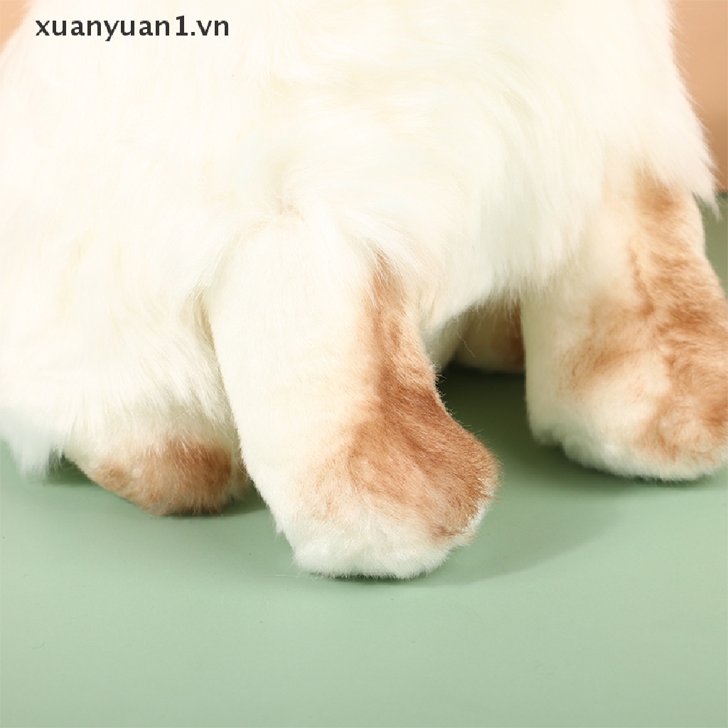 Đồ chơi nhồi bông Hình Mèo Dễ Thương Cho Bé