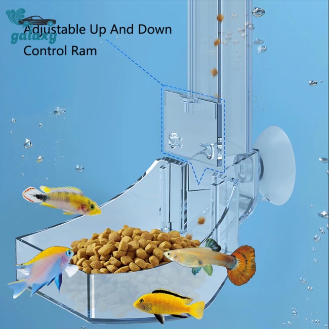 Galaxy Bát Đựng Thức Ăn Cho Cá Ăn Có Giác Hút Tiện Lợi